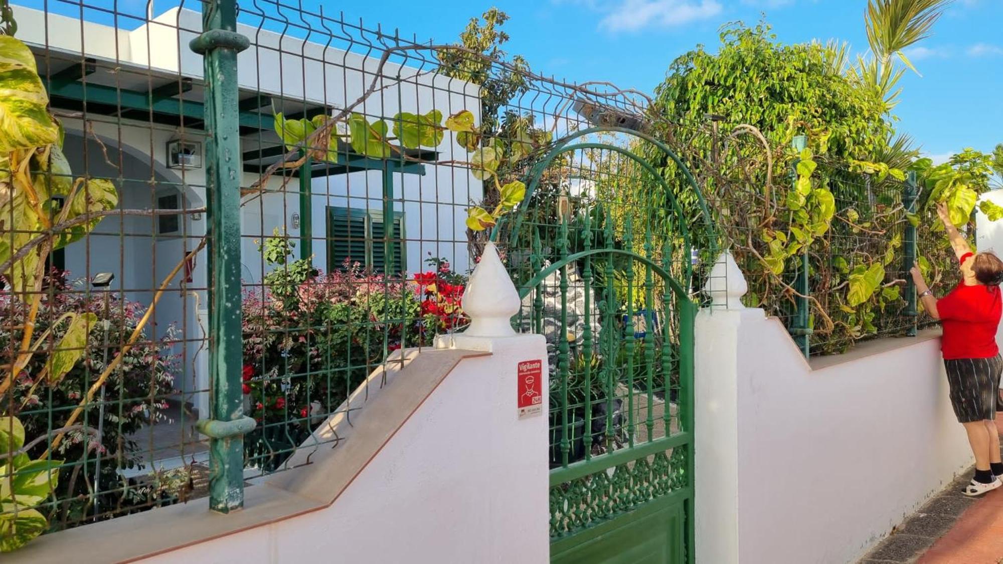 Apartamento Bungalows Isabel Maria Playa Blanca  Esterno foto
